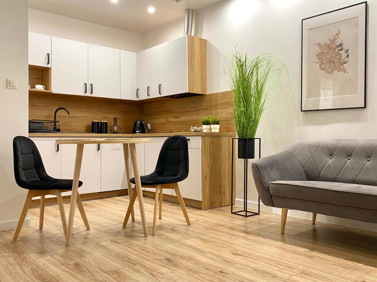 Nowoczesny W Dzierzoniowie - Parter - Balkon - + Sypialnia * Dzierzoniow
